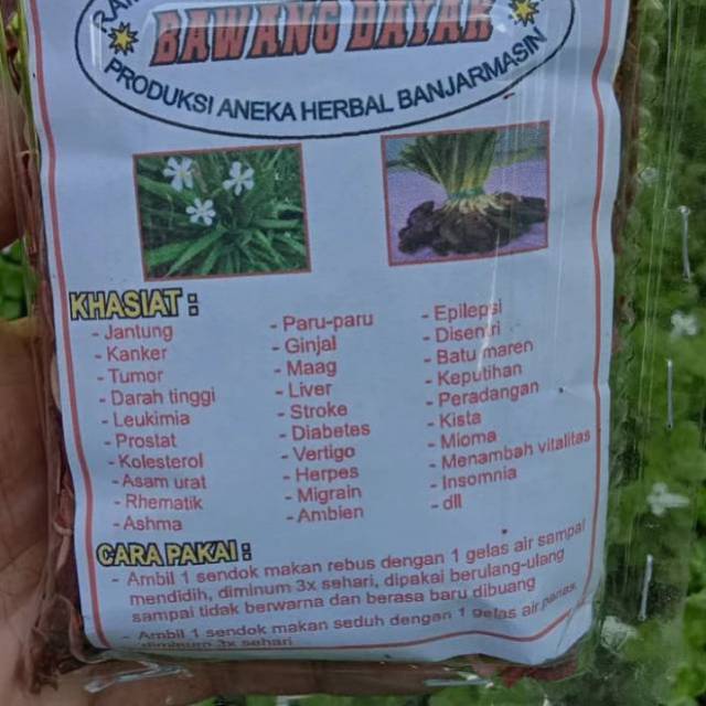 Jual Bawang Dayak Asli Kalimantan Mengobati Bermacam Penyakit Shopee