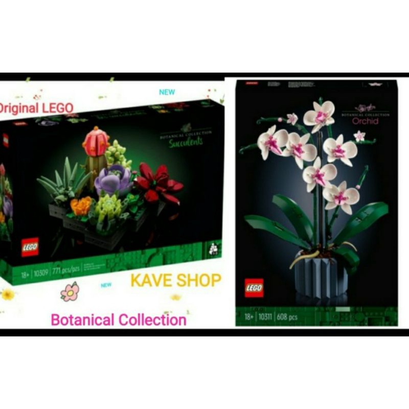 Jual LEGO Botanical Collection Succulents Or Orchid Shopee Indonesia