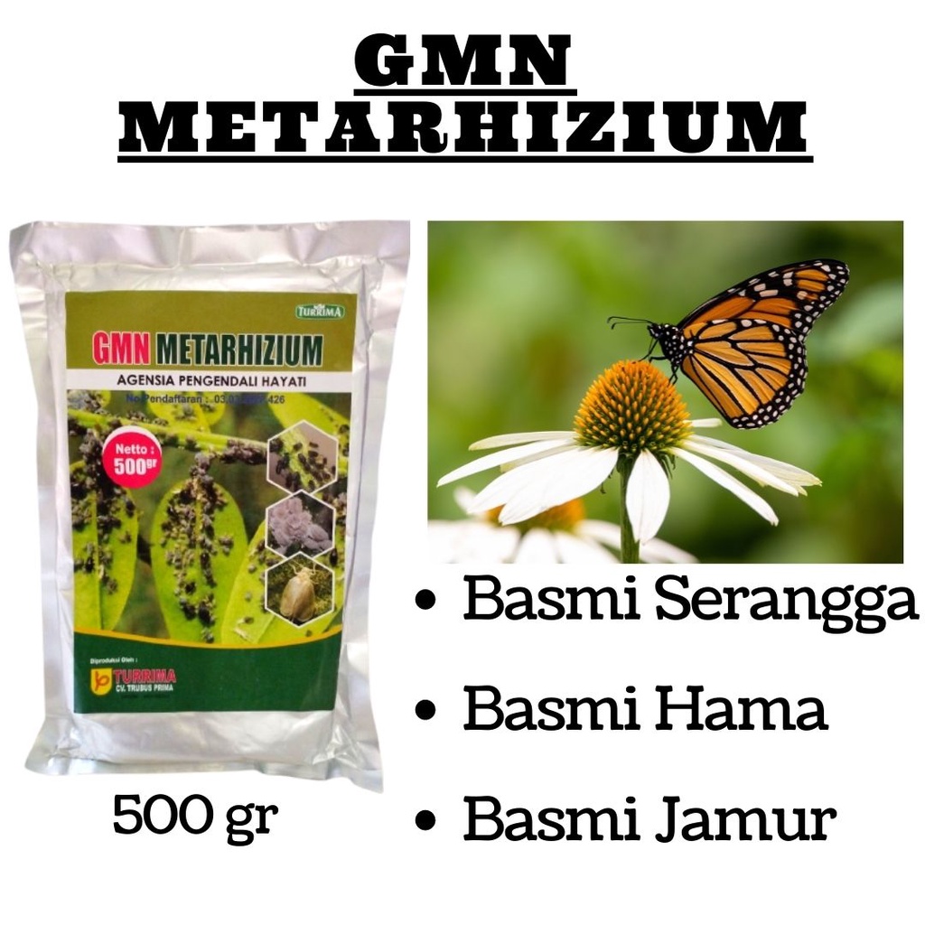 Jual Insektisida Hayati Ulat Thrips Dan Kutu Daun Metarhizium