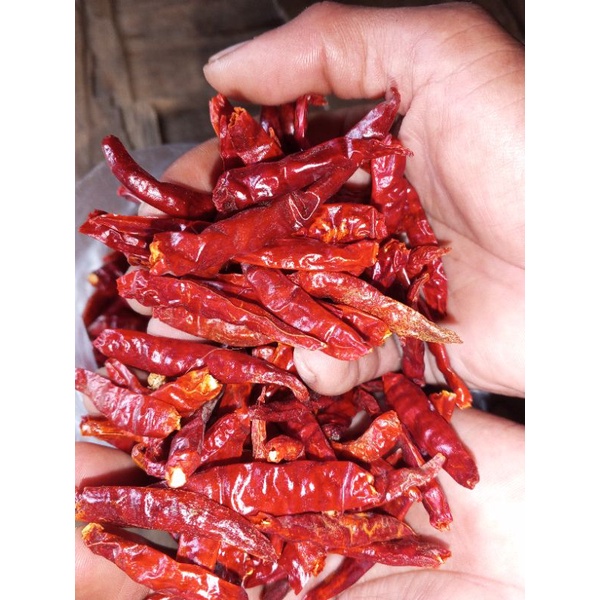 Jual Cabe Kering Super Pedas 1 Kg Shopee Indonesia