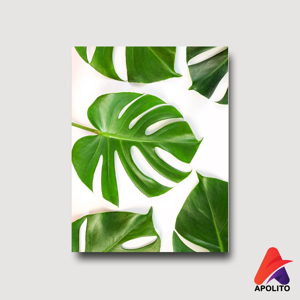 Jual Hiasan Dinding Daun Wall Decor Daun Apolito X Cm Pajangan