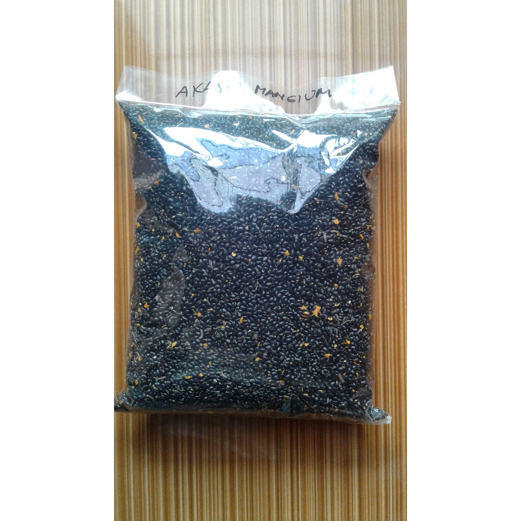 Jual Benih Akasia Mangium Acacia Mangium Shopee Indonesia