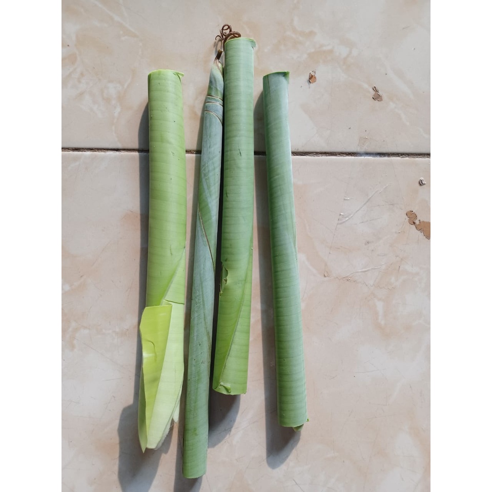 Jual Pucuk Pisang Raja Bulu Muda Pucuk Daun Pisang Raja Shopee