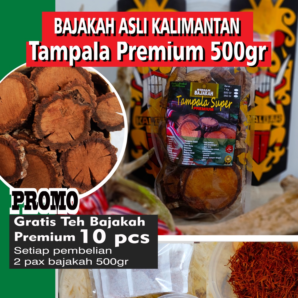 Jual Asli Bajakah Tampala Super Premium Besar Gr Bonus Teh