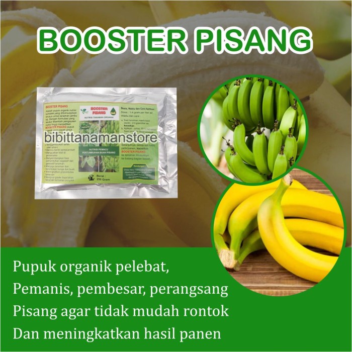 Jual Pupuk Organik Pelebat Buah Dan Booster Pisang Cepat Berbuah Lebat