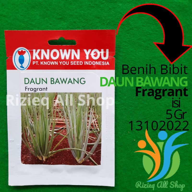 Jual Benih Daun Bawang FRAGRANT Produk Known You Seed Isi 5 Gram