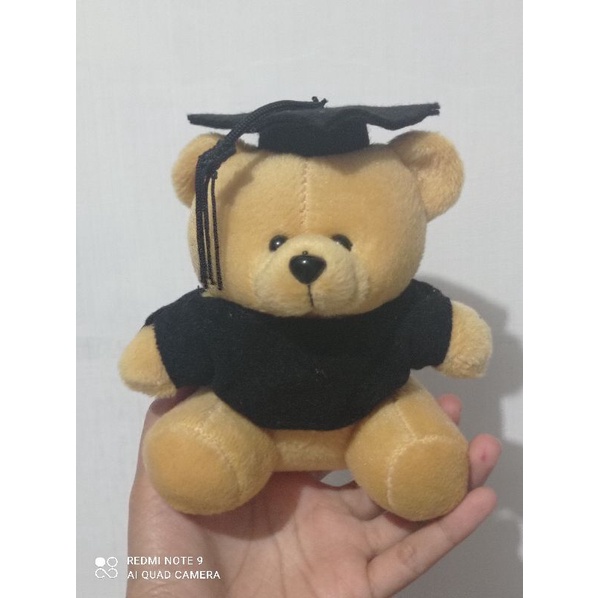 Jual Ready Boneka Wisuda Velboa Mini Cm Boneka Buket Kado