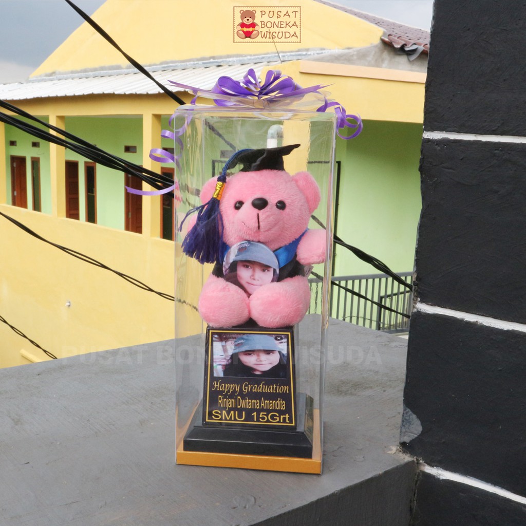 Jual Piala Boneka Wisuda Mika Kado Hadiah Souvenir Sekolah TK PAUD SD