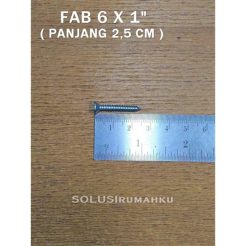 Jual Skrup Philips Fab X Kepala Rata Tapping Screw X Mm