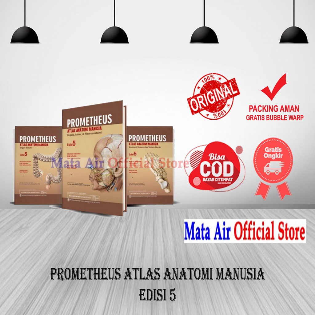 Jual Original Prometheus Atlas Anatomi Manusia Edisi New Promet