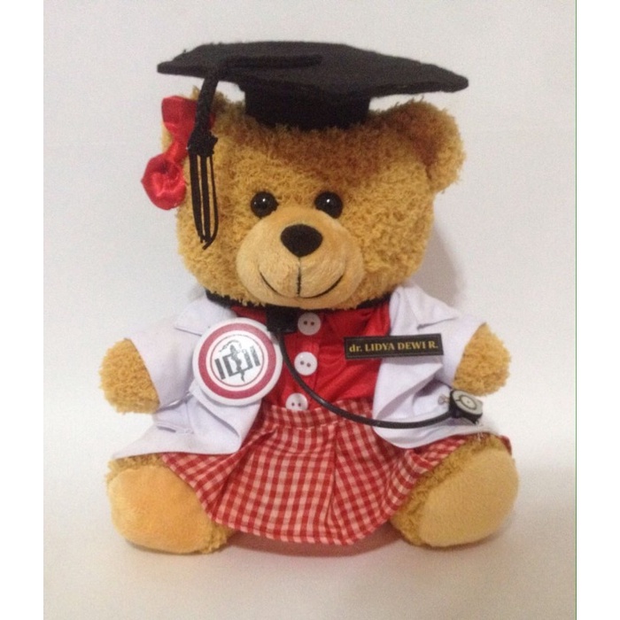 Jual Boneka Wisuda Teddy Bear Dokter Bidan Kedokteran Kado Unik Lucu