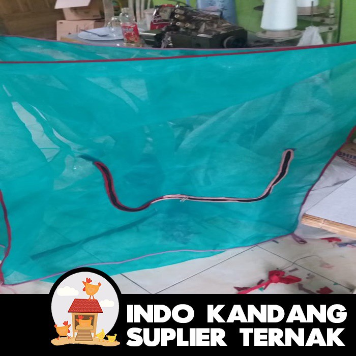 Jual Kandang Lalat Maggot Bsf Ukuran X X Meter Portable Gantung