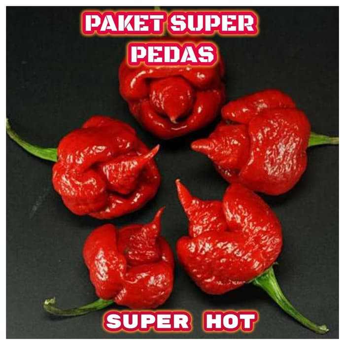 Jual Termurah Paket Jenis Benih Biji Bibit Cabe Hias Cabe Unik