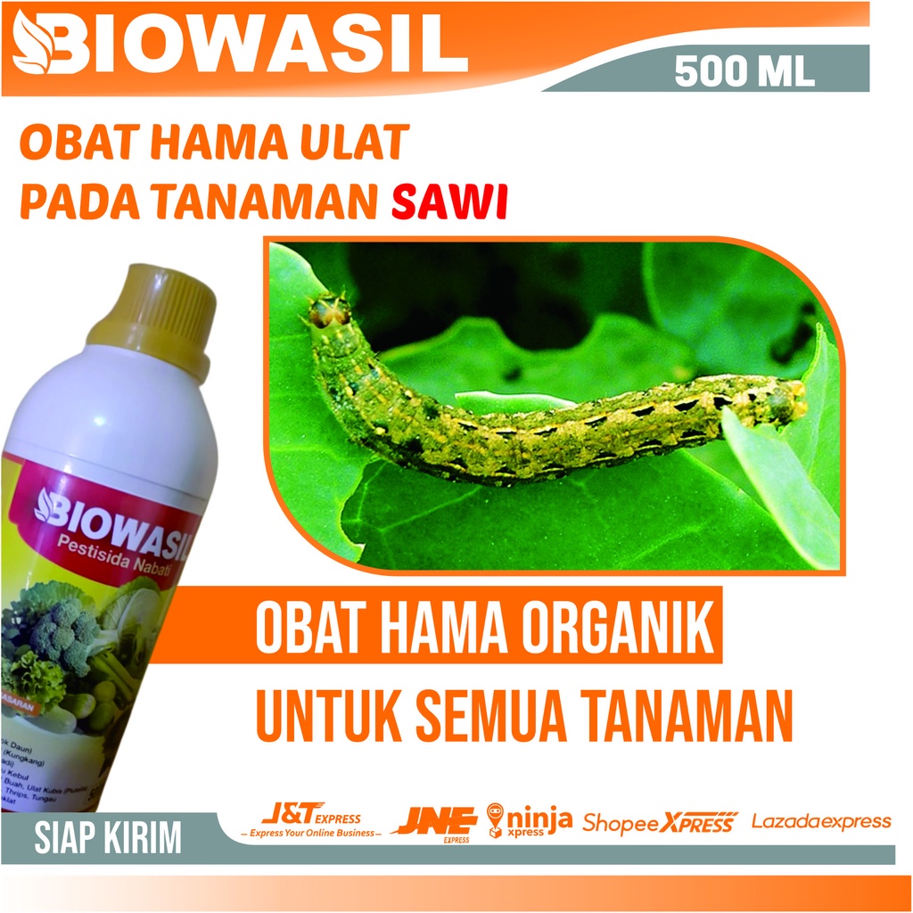 Jual Obat Hama Ulat Bulu Pada Tanaman Sawi Biowasil Ml