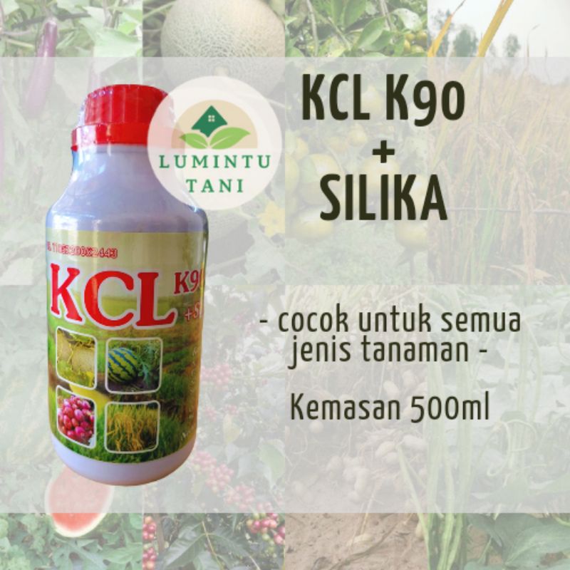 Jual Kcl Plus Silika Kcl Silika Ml Shopee Indonesia