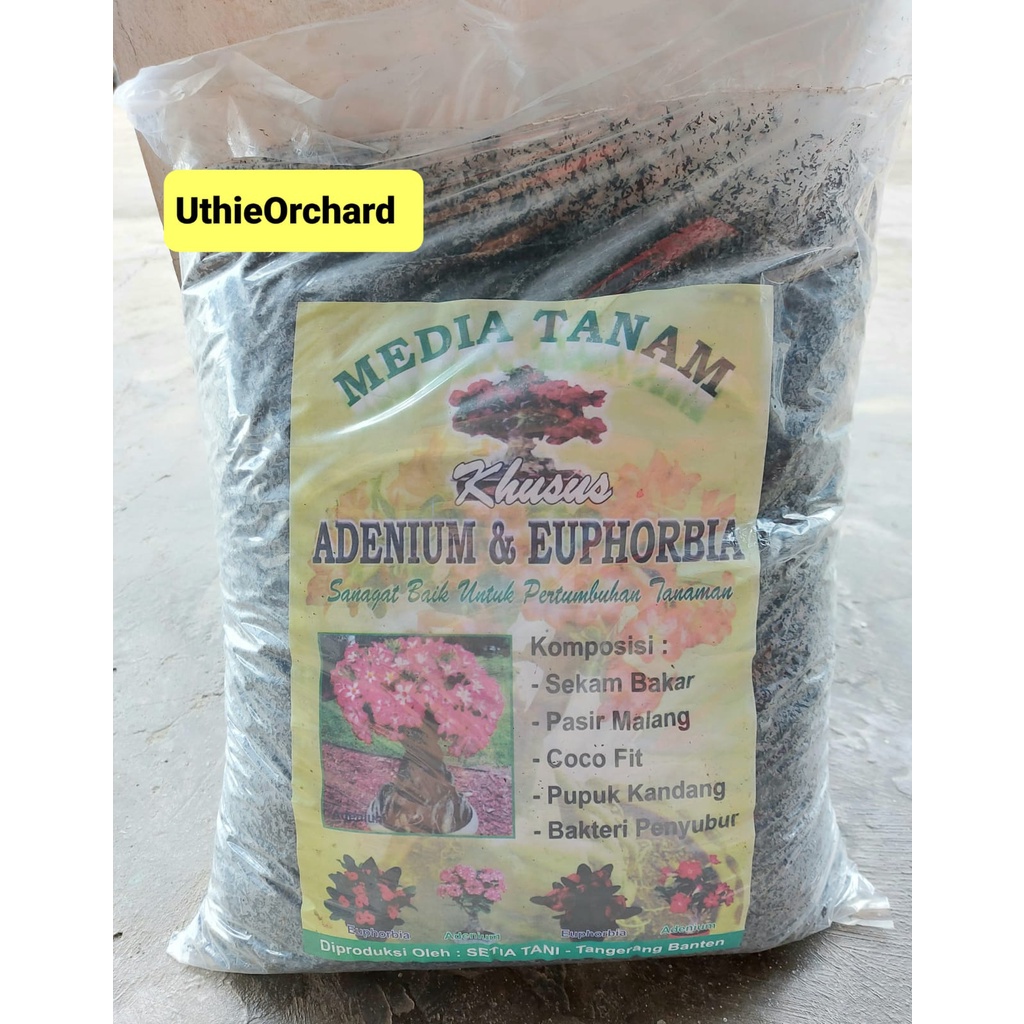 Jual Media Tanam Khusus Adenium Euphorbia Kemasan Pabrik Shopee