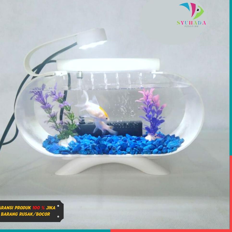 Jual Harga Murah MLRNH COD TERMEWAH 1 SET AQUARIUM MINI AKRILIK