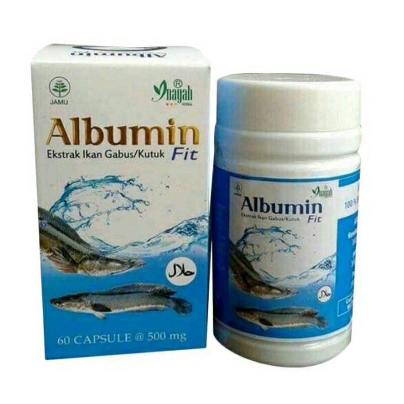 Jual Albumin Fit Extrak Ikan Gabus 60 Kapsul Shopee Indonesia