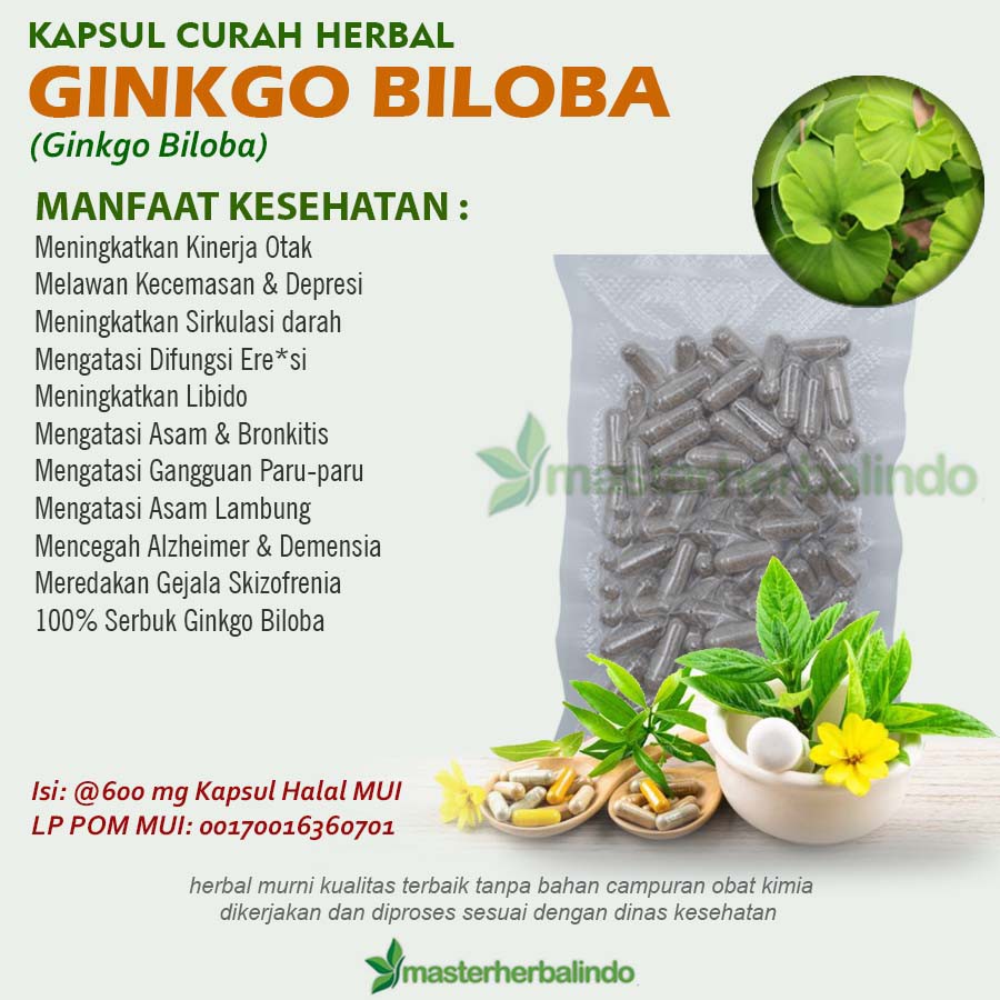 Jual Kapsul Curah Herbal GINKGO BILOBA 200x600mg Daya Ingat Anti Aging