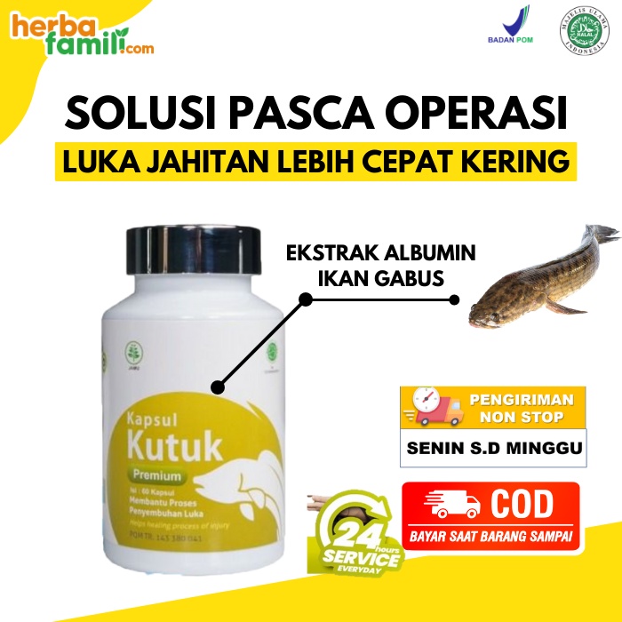 Jual Kapsul Kutuk Premium Asli 100 Original Pil Kutuk Kapsul Ikan Gabus