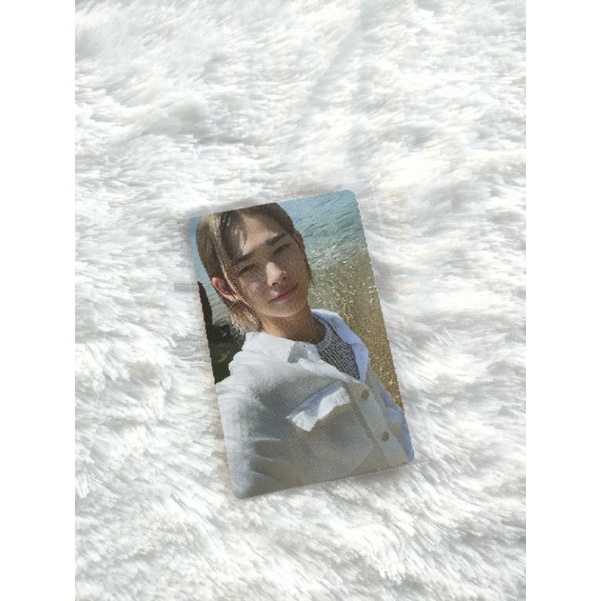 Jual OFFICIAL PHOTOCARD PC ENHYPEN DIMENSION DILEMMA D D SELCA HOLO