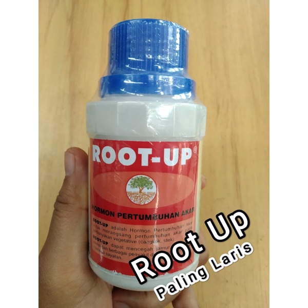 Jual ROOT UP FUNGISIDA HORMON PERTUMBUHAN AKAR 100GRAM Shopee Indonesia