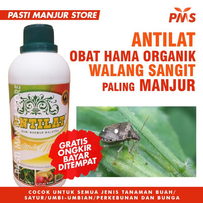 Jual Insektisida Pestisida Organik ANTILAT Obat Hama Semua Tanaman