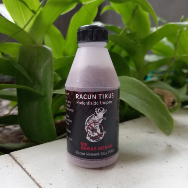 Jual Racun Tikus Siap Pakai Beras Merah Mati Kering Shopee Indonesia