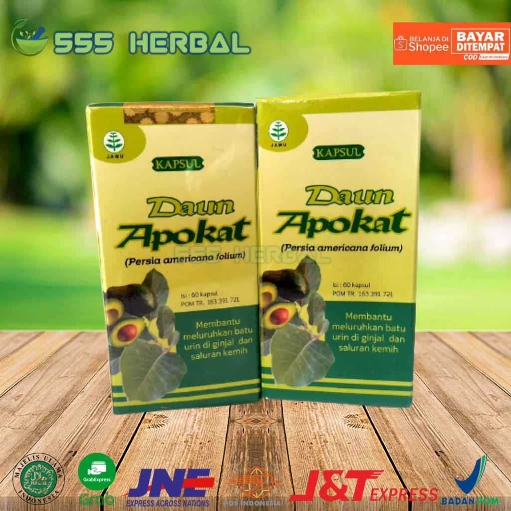 Jual Kapsul Daun Alpukat Apokat Tazakka Obat Herbal Batu Ginjal Sakit