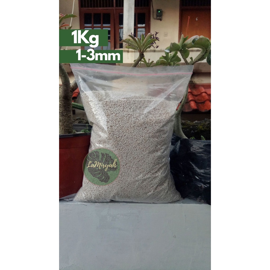 Jual Perlite Media Tanam Premium Kg Mm Shopee Indonesia