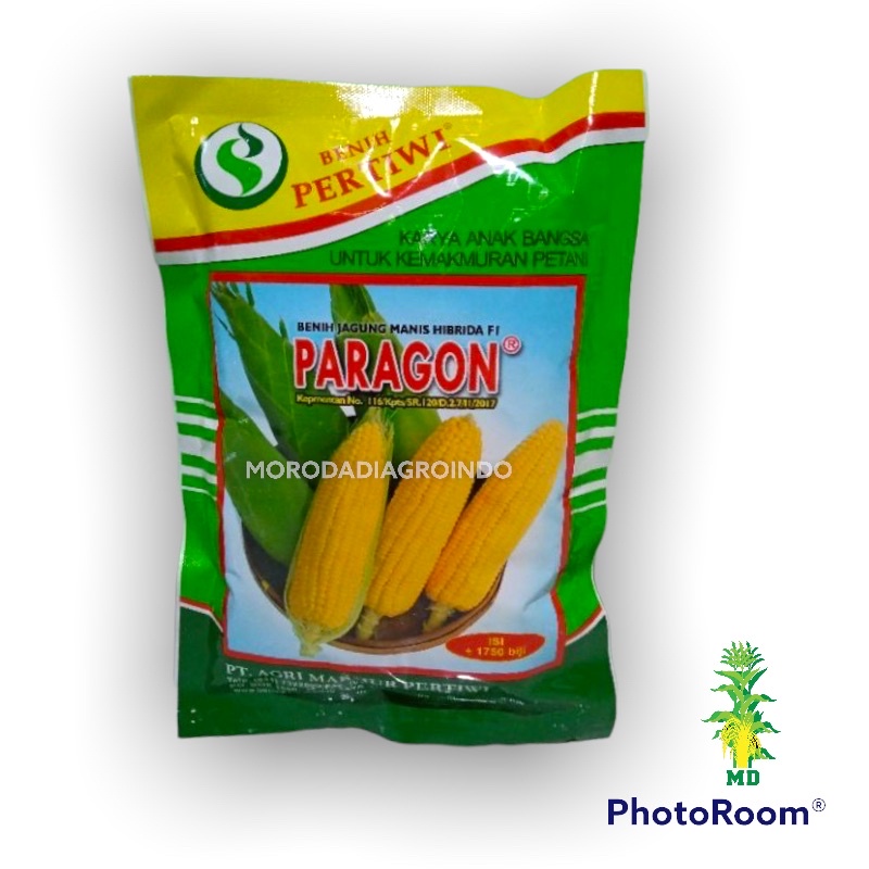 Jual BENIH BIBIT JAGUNG MANIS PARAGON F1 PERTIWI Kemasan 250 Gr 1750