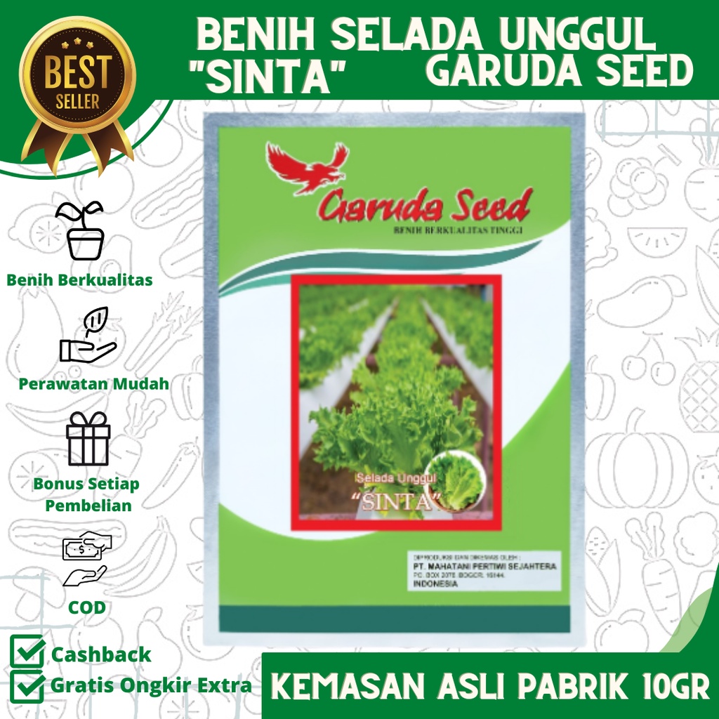 Jual Benih Bibit Selada Hijau Unggul Sinta Garuda Seed Kemasan Pabrik