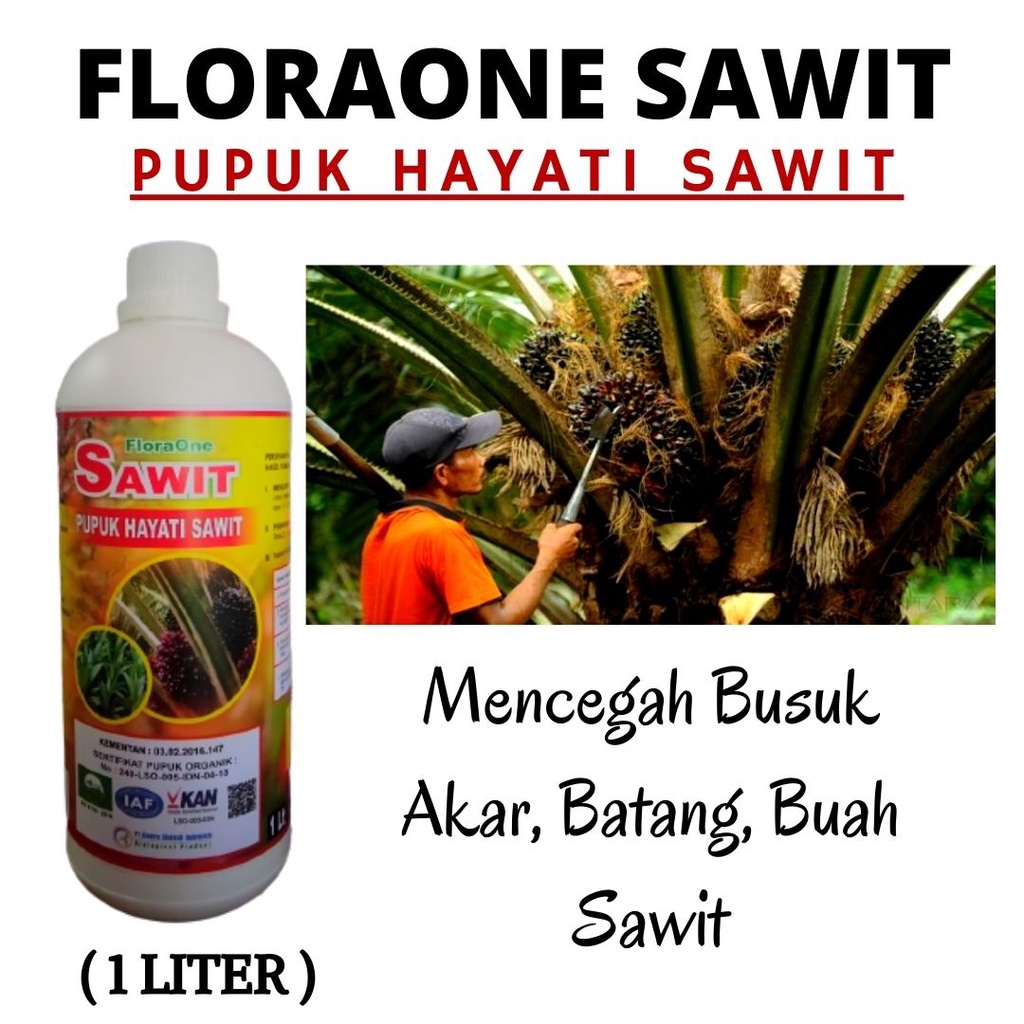 Jual Obat Daun Sawit Mati Pucuk Pupuk Sawit Cepat Berbuah Fungisida