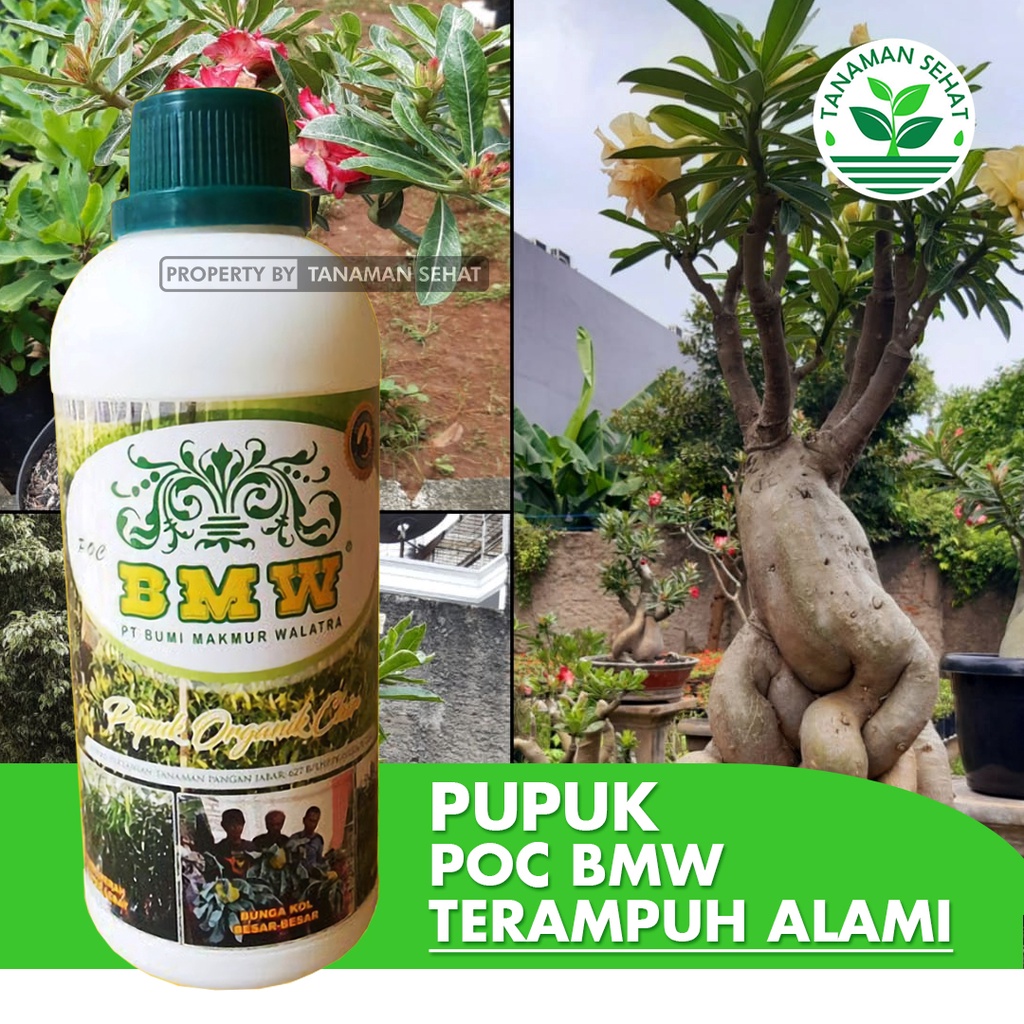 Jual Pupuk Organik Cair Penyubur Tanaman Perangsang Akar Nutrisi