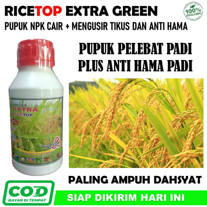 Jual PROMO Ricetop Extra Green Pupuk Pelebat Padi Paling Ampuh