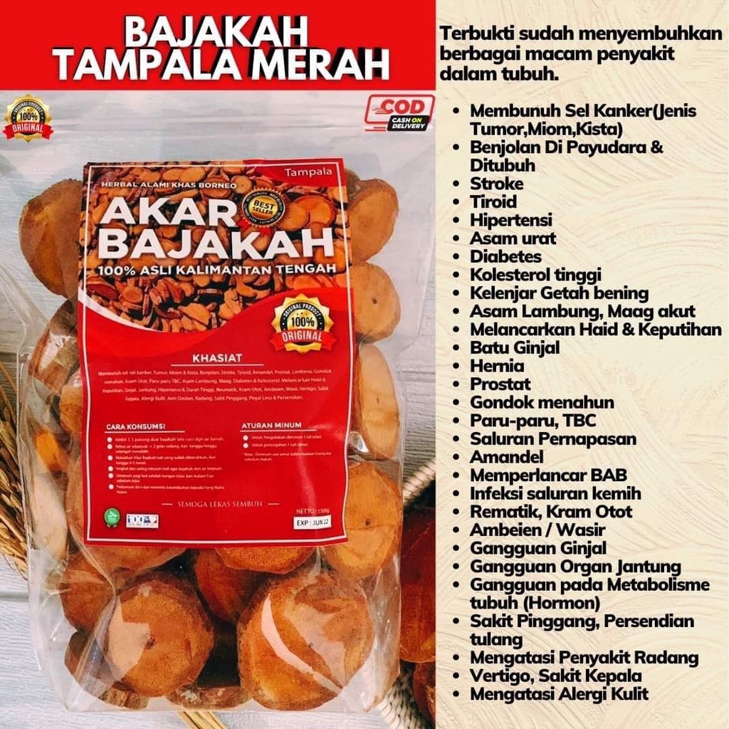 Jual Akar Kayu Bajakah Tampala Merah Siap Seduh Obat Tumor Dan Kanker