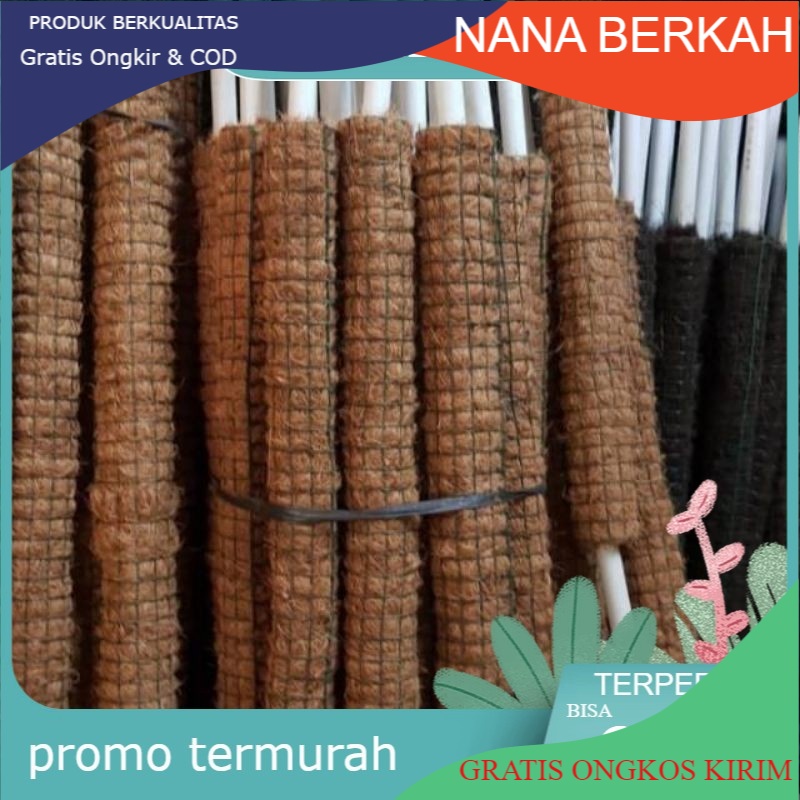 Jual TURUS PENYANGGA TANAMAN RAMBAT SERABUT KELAPA PANJANG 70 Cm Untuk