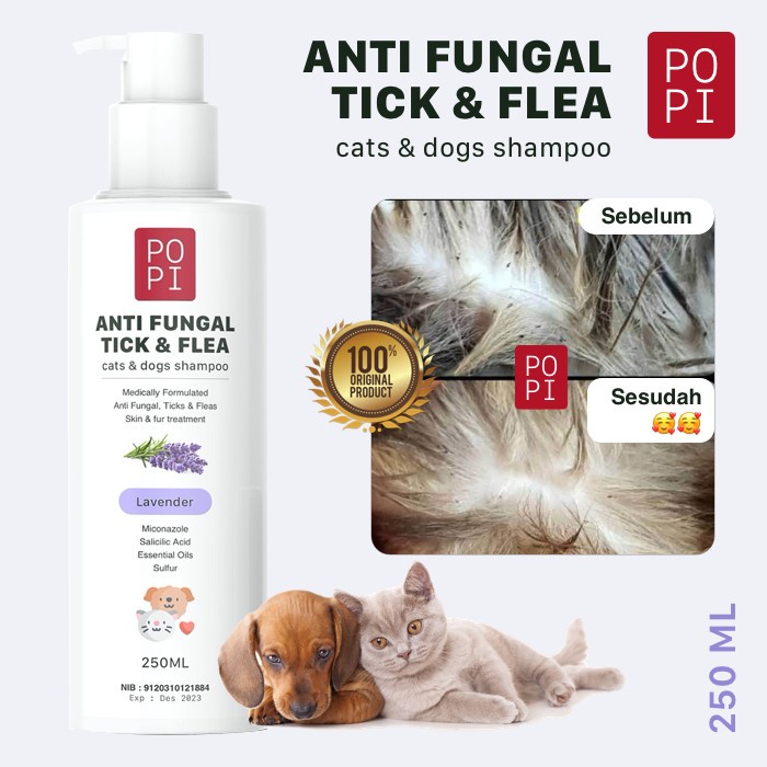 Jual Kucing Shampoo Popi Shampo Anti Kutu Jamur Kucing Anjing Ml