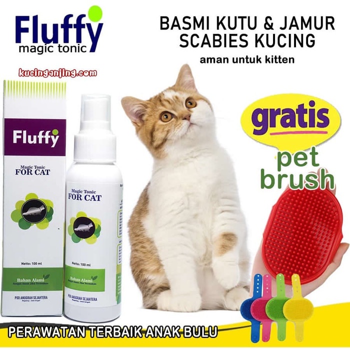 Jual FLUFFY OBAT KUTU KUCING UNTUK JAMUR SCABIES RINGWORM SAMPO KUTU