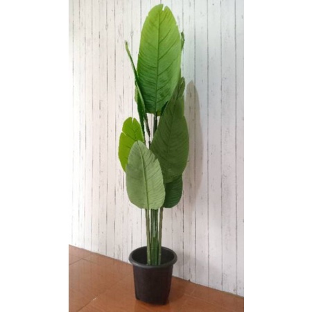 Jual Pohon Pisang Artificial Tinggi 150cm Shopee Indonesia