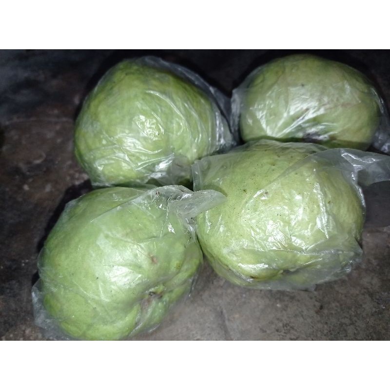 Jual Jambu Kristal Kg Ukuran Sedang Shopee Indonesia