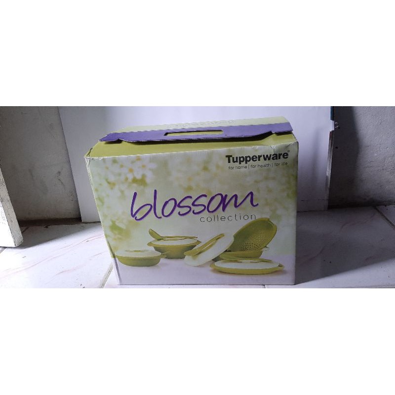 Jual Tupperware Blossom Collection Wadah Saji Tupperware Shopee