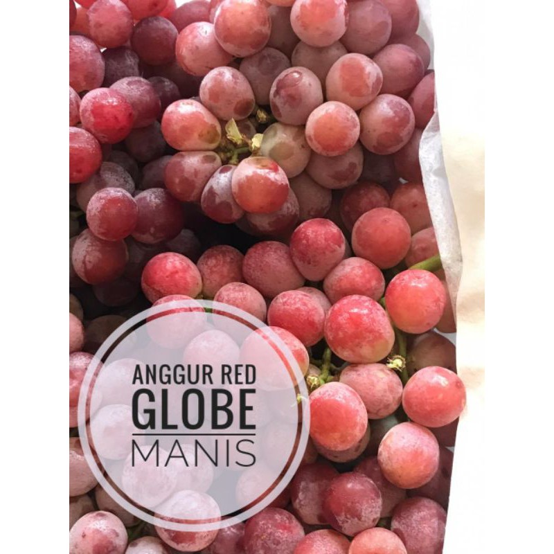 Jual Buah Anggur Merah Red Globe Kg Shopee Indonesia