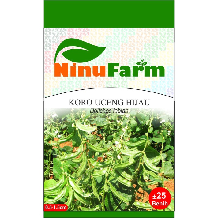 Jual Benih Koro Uceng Seeds Shopee Indonesia