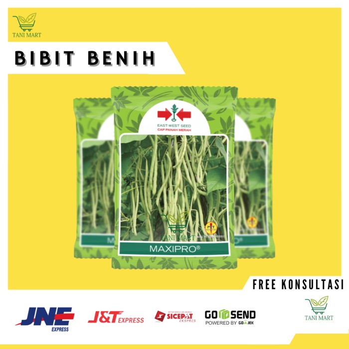 Jual Benih Bibit Buncis Varietas Maxipro F Gr Kemasan Original