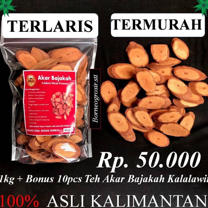 Jual Produk Unggulan Kayu Akar Bajakah Bajaka Bajakan Kalalawit Merah