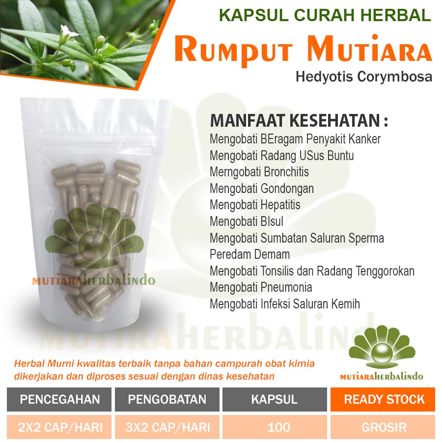 Jual Rumput Mutiara Kapsul Curah Herbal Sumbatan Saluran Sperma