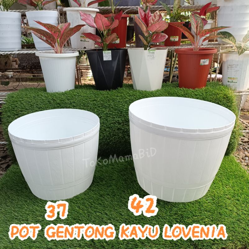 Jual Pot Gentong Kayu Lovenia Shopee Indonesia