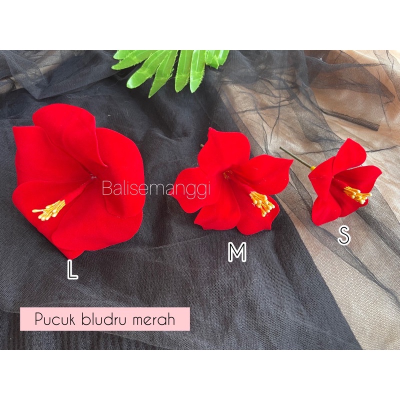 Jual Pucuk Bludru Tusuk Pucuk Bang Bali Shopee Indonesia