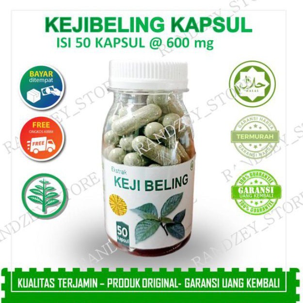 Jual Obat Batu Ginjal Herbal Daun Keji Beling Jamu Suplemen Kesehatan